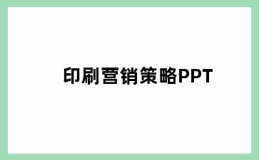 印刷营销策略PPT