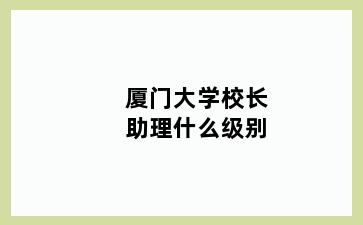 厦门大学校长助理什么级别