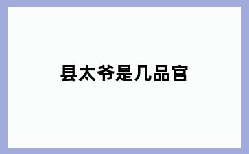 县太爷是几品官