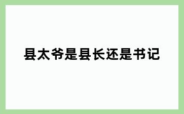 县太爷是县长还是书记
