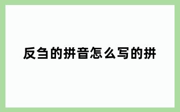 反刍的拼音怎么写的拼