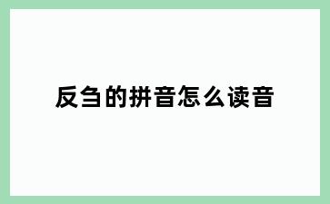 反刍的拼音怎么读音
