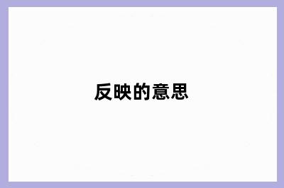 反映的意思