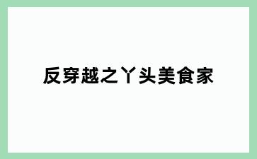 反穿越之丫头美食家