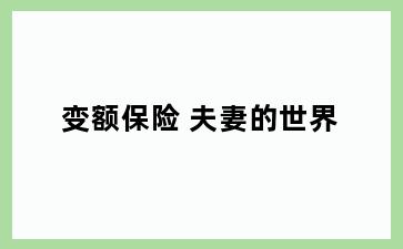 变额保险 夫妻的世界
