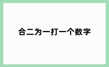 合二为一打一个数字