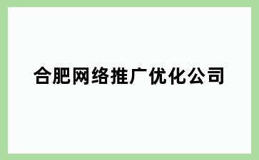 网络推广优化公司