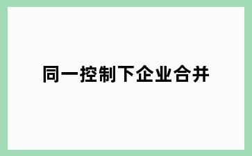 同一控制下企业合并