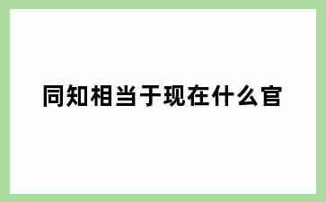 同知相当于现在什么官