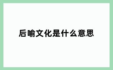 后喻文化是什么意思