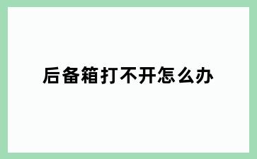 后备箱打不开怎么办