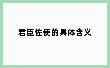 君臣佐使的具体含义