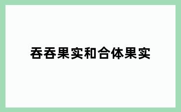 吞吞果实和合体果实