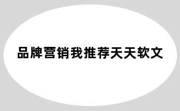 品牌营销我推荐天天软文