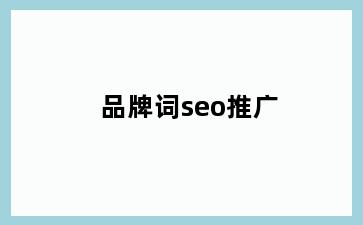 品牌词seo推广