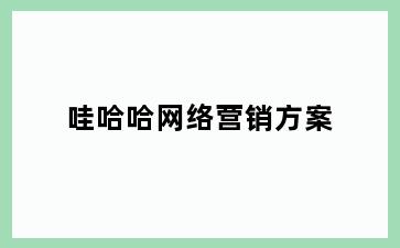 哇哈哈网络营销方案