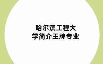 哈尔滨工程大学简介王牌专业