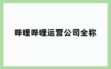 哔哩哔哩运营公司全称