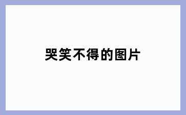 哭笑不得的图片