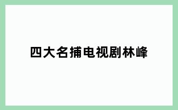 四大名捕电视剧林峰