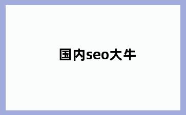 国内seo大牛