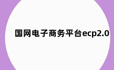 国网电子商务平台ecp2.0