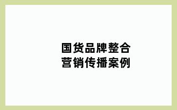 国货品牌整合营销传播案例
