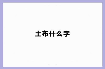 土布什么字