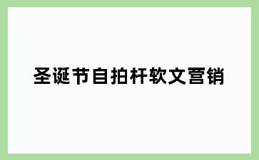 圣诞节自拍杆软文营销