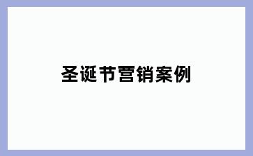 圣诞节营销案例
