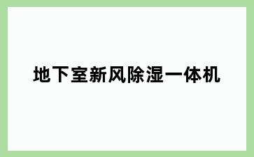 地下室新风除湿一体机