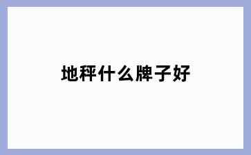 地秤什么牌子好