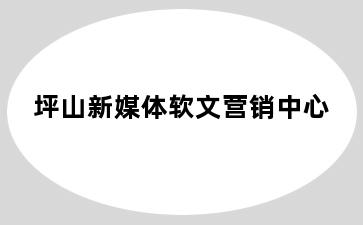 坪山新媒体软文营销中心