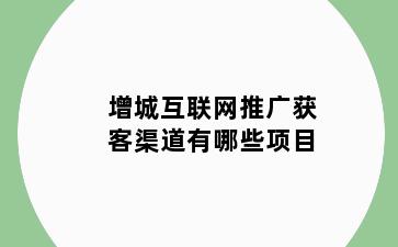 增城互联网推广获客渠道有哪些项目