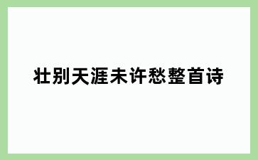 壮别天涯未许愁整首诗