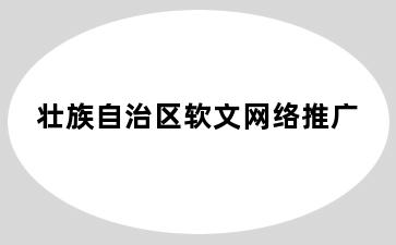 壮族自治区软文网络推广