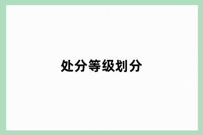处分等级划分