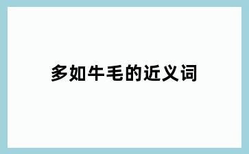 多如牛毛的近义词