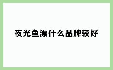 夜光鱼漂什么品牌较好