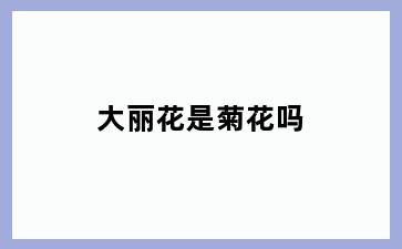 大丽花是菊花吗