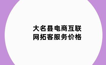 大名县电商互联网拓客服务价格
