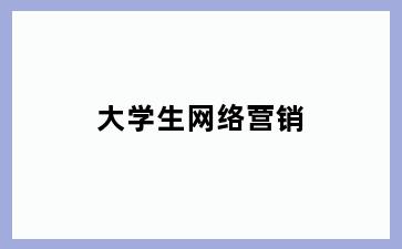 大学生网络营销