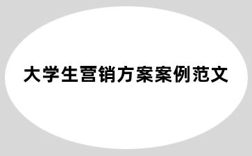 大学生营销方案案例范文