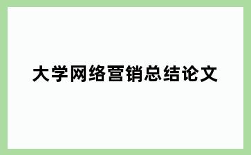 大学网络营销总结论文