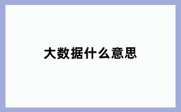 大数据什么意思