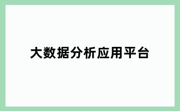 大数据分析应用平台
