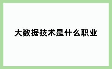 大数据技术是什么职业