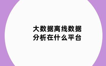 大数据离线数据分析在什么平台