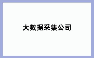 大数据采集公司