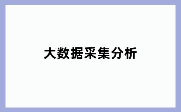 大数据采集分析